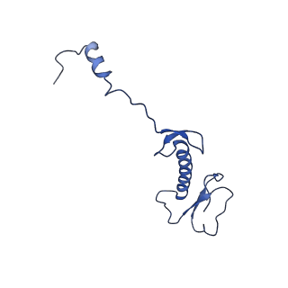 16899_8oit_BH_v1-0
39S human mitochondrial large ribosomal subunit with mtRF1 and P-site tRNA