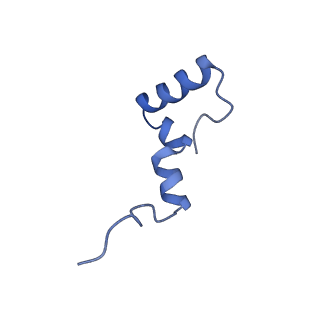 16899_8oit_BJ_v1-0
39S human mitochondrial large ribosomal subunit with mtRF1 and P-site tRNA