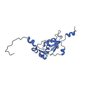 16899_8oit_BR_v1-0
39S human mitochondrial large ribosomal subunit with mtRF1 and P-site tRNA