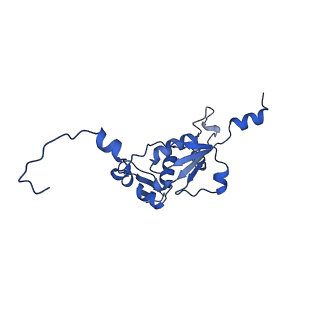 16899_8oit_BR_v2-0
39S human mitochondrial large ribosomal subunit with mtRF1 and P-site tRNA