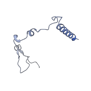 16899_8oit_Bc_v1-0
39S human mitochondrial large ribosomal subunit with mtRF1 and P-site tRNA