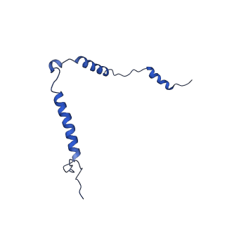 16899_8oit_Be_v1-0
39S human mitochondrial large ribosomal subunit with mtRF1 and P-site tRNA