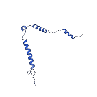 16899_8oit_Be_v2-0
39S human mitochondrial large ribosomal subunit with mtRF1 and P-site tRNA