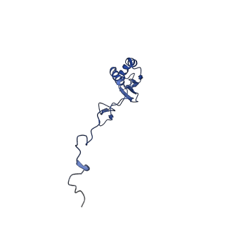 16899_8oit_Bs_v1-0
39S human mitochondrial large ribosomal subunit with mtRF1 and P-site tRNA