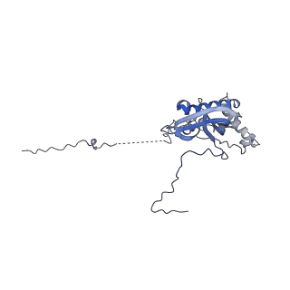 16899_8oit_Bu_v1-0
39S human mitochondrial large ribosomal subunit with mtRF1 and P-site tRNA