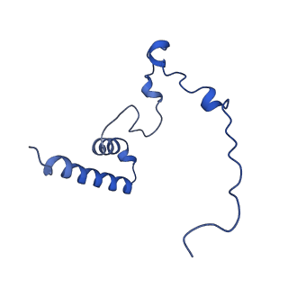 16899_8oit_Bz_v1-0
39S human mitochondrial large ribosomal subunit with mtRF1 and P-site tRNA