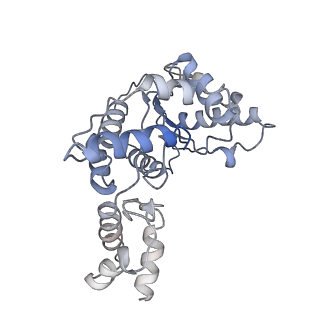 20076_6oif_L_v1-2
Cryo-EM structure of human TorsinA filament