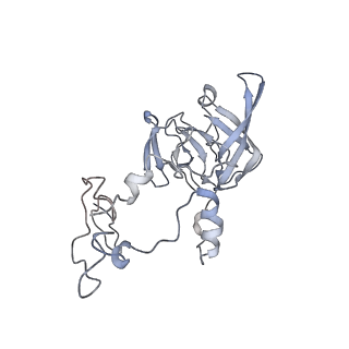 20077_6oig_A_v1-2
Subunit joining exposes nascent pre-40S rRNA for processing and quality control