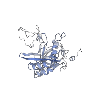 20077_6oig_B_v1-2
Subunit joining exposes nascent pre-40S rRNA for processing and quality control