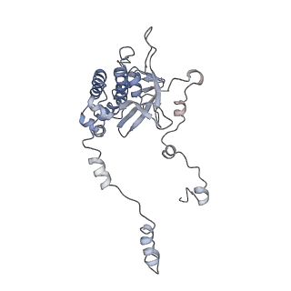 20077_6oig_D_v1-2
Subunit joining exposes nascent pre-40S rRNA for processing and quality control