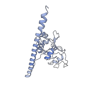 20077_6oig_F_v1-2
Subunit joining exposes nascent pre-40S rRNA for processing and quality control