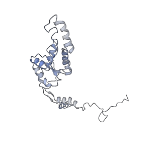 20077_6oig_G_v1-2
Subunit joining exposes nascent pre-40S rRNA for processing and quality control