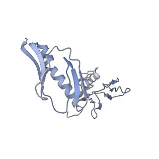 20077_6oig_H_v1-2
Subunit joining exposes nascent pre-40S rRNA for processing and quality control