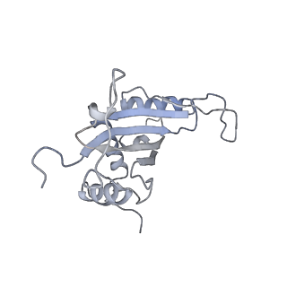 20077_6oig_J_v1-2
Subunit joining exposes nascent pre-40S rRNA for processing and quality control