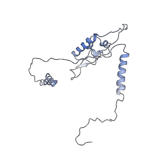 20077_6oig_L_v1-2
Subunit joining exposes nascent pre-40S rRNA for processing and quality control