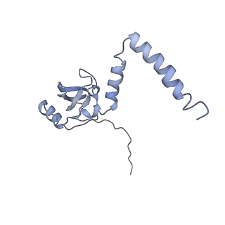 20077_6oig_M_v1-2
Subunit joining exposes nascent pre-40S rRNA for processing and quality control