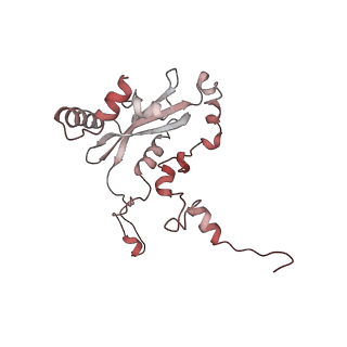 20077_6oig_N_v1-2
Subunit joining exposes nascent pre-40S rRNA for processing and quality control