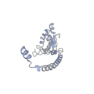 20077_6oig_O_v1-2
Subunit joining exposes nascent pre-40S rRNA for processing and quality control