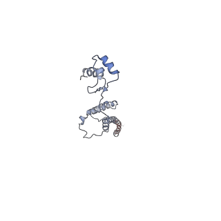 20077_6oig_R_v1-2
Subunit joining exposes nascent pre-40S rRNA for processing and quality control