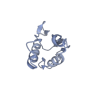 20077_6oig_U_v1-2
Subunit joining exposes nascent pre-40S rRNA for processing and quality control