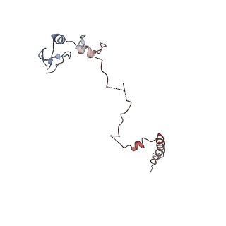 20077_6oig_W_v1-2
Subunit joining exposes nascent pre-40S rRNA for processing and quality control