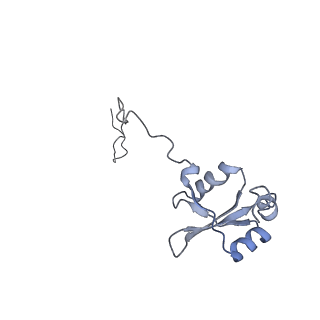 20077_6oig_X_v1-2
Subunit joining exposes nascent pre-40S rRNA for processing and quality control