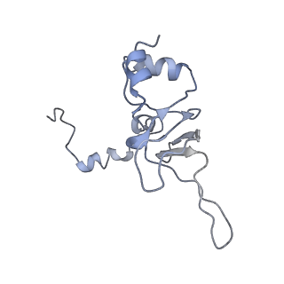 20077_6oig_Y_v1-2
Subunit joining exposes nascent pre-40S rRNA for processing and quality control