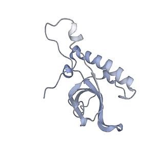 20077_6oig_Z_v1-2
Subunit joining exposes nascent pre-40S rRNA for processing and quality control