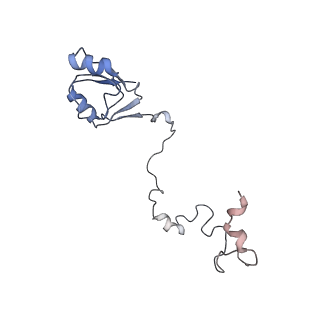 20077_6oig_a_v1-2
Subunit joining exposes nascent pre-40S rRNA for processing and quality control