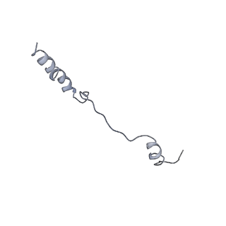 20077_6oig_b_v1-2
Subunit joining exposes nascent pre-40S rRNA for processing and quality control