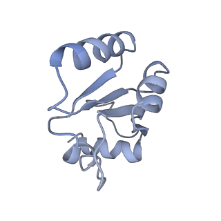 20077_6oig_c_v1-2
Subunit joining exposes nascent pre-40S rRNA for processing and quality control