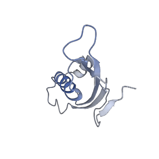 20077_6oig_d_v1-2
Subunit joining exposes nascent pre-40S rRNA for processing and quality control