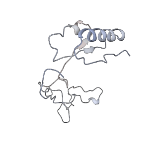 20077_6oig_e_v1-2
Subunit joining exposes nascent pre-40S rRNA for processing and quality control