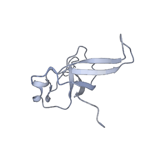 20077_6oig_f_v1-2
Subunit joining exposes nascent pre-40S rRNA for processing and quality control