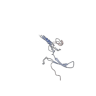 20077_6oig_g_v1-2
Subunit joining exposes nascent pre-40S rRNA for processing and quality control