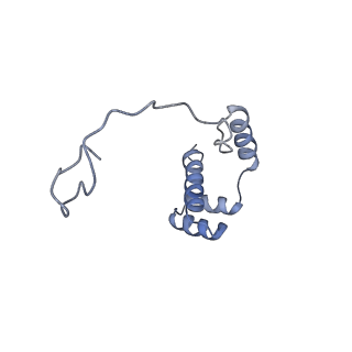 20077_6oig_i_v1-2
Subunit joining exposes nascent pre-40S rRNA for processing and quality control