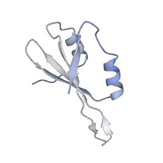 20077_6oig_k_v1-2
Subunit joining exposes nascent pre-40S rRNA for processing and quality control