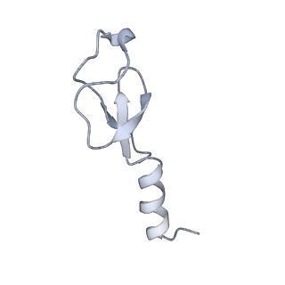 20077_6oig_m_v1-2
Subunit joining exposes nascent pre-40S rRNA for processing and quality control