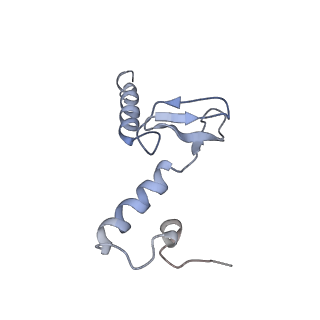 20077_6oig_p_v1-2
Subunit joining exposes nascent pre-40S rRNA for processing and quality control