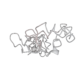 20077_6oig_s_v1-2
Subunit joining exposes nascent pre-40S rRNA for processing and quality control