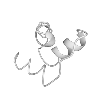 20077_6oig_y_v1-2
Subunit joining exposes nascent pre-40S rRNA for processing and quality control