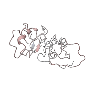 20077_6oig_z_v1-2
Subunit joining exposes nascent pre-40S rRNA for processing and quality control