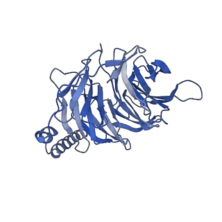20078_6oij_B_v1-3
Muscarinic acetylcholine receptor 1-G11 protein complex