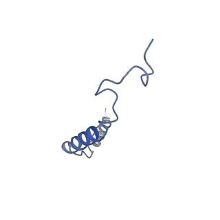 20078_6oij_G_v1-3
Muscarinic acetylcholine receptor 1-G11 protein complex