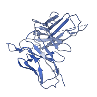 20078_6oij_H_v1-3
Muscarinic acetylcholine receptor 1-G11 protein complex