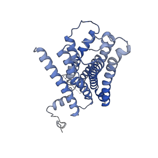 20078_6oij_R_v1-3
Muscarinic acetylcholine receptor 1-G11 protein complex