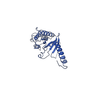 20079_6oik_A_v1-3
Muscarinic acetylcholine receptor 2-Go complex