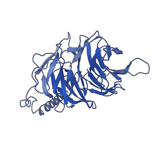 20079_6oik_B_v1-3
Muscarinic acetylcholine receptor 2-Go complex