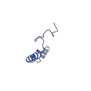 20079_6oik_G_v1-3
Muscarinic acetylcholine receptor 2-Go complex
