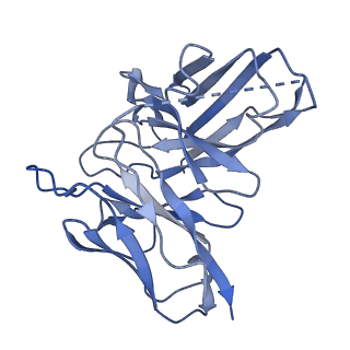 20079_6oik_H_v1-3
Muscarinic acetylcholine receptor 2-Go complex